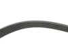 Комплект ременя генератора Opel Astra/Insignia 2.0 CDTI 08-17 (6PK1903) INA 529 0348 10 (фото 2)