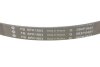 Комплект ременя генератора Opel Astra/Insignia 2.0 CDTI 08-17 (6PK1903) INA 529 0348 10 (фото 3)