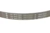 Комплект ременя генератора Opel Astra/Insignia 2.0 CDTI 08-17 (6PK1903) INA 529 0348 10 (фото 3)