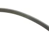 Комплект поликлинових ременів (з роликами) CHEVROLET MALIBU OPEL INSIGNIA A, INSIGNIA A COUNTRY 2.0D 07.08- INA 529 0351 10 (фото 2)