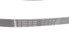 Комплект ременя генератора Peugeot 208/2008 1.6BlueHDi 13- (6PK1005) INA 529 0358 10 (фото 2)