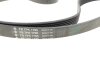 Комплект ремня генератора Renault Laguna II 1.9 dCi/2.0 16V 01- (7PK 1795) INA 529 0412 10 (фото 2)