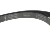 Комплект ременя генератора Renault Megane II 2.0 dCi 05-09/ Nissan Qasqai I/X-Trail II 2.0dCi 07- INA 529 0423 10 (фото 7)
