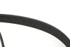 Комплект ременя генератора Renault Megane II 2.0 dCi 05-09/ Nissan Qasqai I/X-Trail II 2.0dCi 07- INA 529 0423 10 (фото 8)