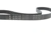 Комплект ременя генератора Audi A3/Seat Leon/Skoda Octavia/VW Caddy/Passat B6 1.6-2.0 03- (6PK1043) INA 529 0429 10 (фото 4)