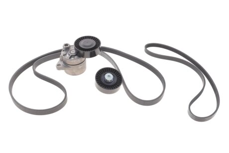 Комплект доріжкових пасків INA 529043910