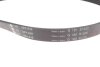 Комплект ременя генератора Ford Focus 2.5 ST 05-12, (5PK890 + 5PK848) INA 529 0477 10 (фото 3)