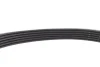 Комплект ременя генератора BMW 5 (F10)/X3 (F25)/X4 (F26) 11-18, (6PK 1003) INA 529 0483 20 (фото 9)