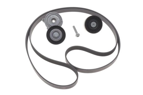 Комплект ременя генератора Audi A4/A6 04-11 (6PK2413) INA 529 0509 10