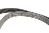 Фото 2 - комплект ременя генератора Audi A3/VW CC 1.8TSI/2.0TSI 04- (6PK1113) INA 529 0514 10 Комплект ременя генератора Audi A3/VW CC 1.8TSI/2.0TSI 04- (6PK1113) INA 529 0514 10 (фото 2)