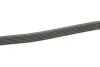 Комплект ременя генератора BMW X1 (F48) 15- B38 A15 INA 529 0516 20 (фото 3)