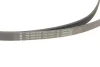 Комплект ременя генератора BMW X1 (F48) 15- B38 A15 INA 529 0516 20 (фото 4)