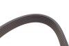 Комплект ремня генератора Ford Mondeo IV 2.2 TDCi 08-15, (6PK 1745) INA 529 0518 10 (фото 12)