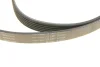 Комплект ременя генератора Ford Fiesta/Focus 1.0 12- INA 529 0524 10 (фото 3)