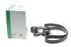 Фото 2 - комплект ременя генератора BMW 3 (G20/G80/G28)/5 (G30/F90) 2.0DH 19- B47 (8PK1162) INA 529 0568 10 Комплект ременя генератора BMW 3 (G20/G80/G28)/5 (G30/F90) 2.0DH 19- B47 (8PK1162) INA 529 0568 10 (фото 2)