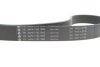 Фото 4 - комплект ременя генератора BMW 3 (G20/G80/G28)/5 (G30/F90) 2.0DH 19- B47 (8PK1162) INA 529 0568 10 Комплект ременя генератора BMW 3 (G20/G80/G28)/5 (G30/F90) 2.0DH 19- B47 (8PK1162) INA 529 0568 10 (фото 4)
