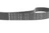 Комплект ременя генератора BMW 3 (G20/G80/G28)/5 (G30/F90) 2.0DH 19- B47 (8PK1162) INA 529 0568 10 (фото 4)