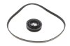 Комплект ременя генератора BMW 3 (F30/F80/G30/F)/5 (G30/F90/G31)/X3 (G01/F97) 2.0 15- B48 INA 529 0579 10 (фото 2)