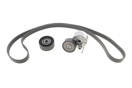 Комплект ременя генератора VW T6 2.0 TDI 15-24 (6PK 1555) INA 529 0591 10