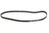 Комплект ГРМ (ремінь + ролик) DACIA PICK UP, SOLENZA RENAULT CLIO I, CLIO II, KANGOO, KANGOO EXPRESS, RAPID, THALIA I 1.9D 01.91- INA 530 0040 10 (фото 3)