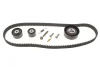 Комплект ГРМ Ford Escort/Mondeo 1.6/1.8/2.0 16V 92-00 INA 530 0102 10 (фото 1)