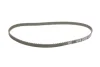 Комплект ГРМ Renault Laguna I/Megane I 2.0 93-01 (19x127z) INA 530 0108 10 (фото 2)