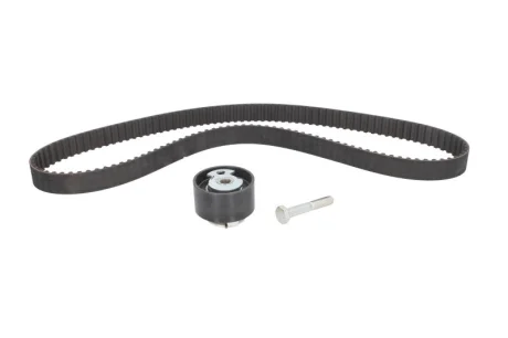 Комплект ГРМ Ford Transit 2.5DI/TD 97-, 51/59/63/74kw INA 530 0143 10