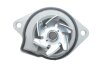 Комплект ГРМ + помпа VW Golf/Bora/Seat 1.4 V16 97-06(130x20/58x17) INA 530 0360 30 (фото 4)