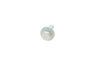 Комплект ГРМ + помпа Citroen Jumper/Peugeot Boxer 2.2 HDi 02- INA 530 0368 30 (фото 19)