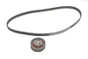 Комплект ГРМ Audi A6/VW Golf IV 2.0 94-02 (18x124z) INA 530 0392 10 (фото 2)