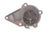 Комплект ГРМ + помпа Hyundai Accent/Elantra/Getz/Kia Rio 1.4/1.5/1.6 95- INA 530 0427 31 (фото 9)