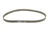 Комплект ГРМ + помпа Audi A3/Skoda Octavia/VW Golf 2.0FSI 04-10 INA 530 0445 32 (фото 2)