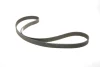 Комплект ГРМ (ремінь + ролик) CHRYSLER VOYAGER III, VOYAGER IV DODGE NITRO JEEP CHEROKEE LDV MAXUS 2.5D/2.8D 01.95-12.12 INA 530 0456 10 (фото 2)