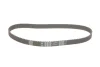 Комплект ГРМ + помпа Hyundai Accent/Santa Fe 1.5/2.0 CRDi 02-06/Kia Sportage 2.0 CRDi 04- (28x123z) INA 530 0542 31 (фото 2)