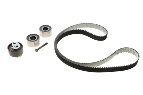 Комплект ГРМ Land Rover Discovery 04-/Sport 3.0D 13- (4x4) (195x29) INA 530 0933 10
