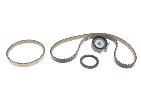 Комплект ГРМ Ford Focus III/Fiesta VI/VII 1.0 12- INA 530 0960 10