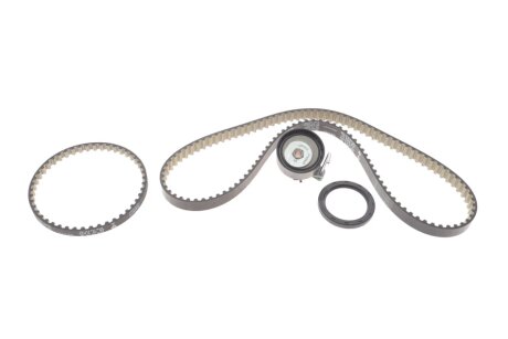 Комплект ГРМ Ford Focus III/Transit Courier 1.0-1.1 12- INA 530 0961 10