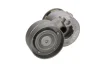 Натяжник ременя генератора Renault Scenic/Megane II/III 1.9dCi/2.0 16V 03-, F9Q/F4R INA 534 0027 10