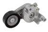 Натяжник ременя генератора VW Caddy 1.9TDI/2.0SDI, 04-10, (70x24) INA 534 0059 10 (фото 1)