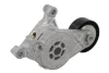 Натяжник ременя генератора VW Caddy 1.9TDI/2.0SDI, 04-10, (70x24) INA 534 0059 10 (фото 2)