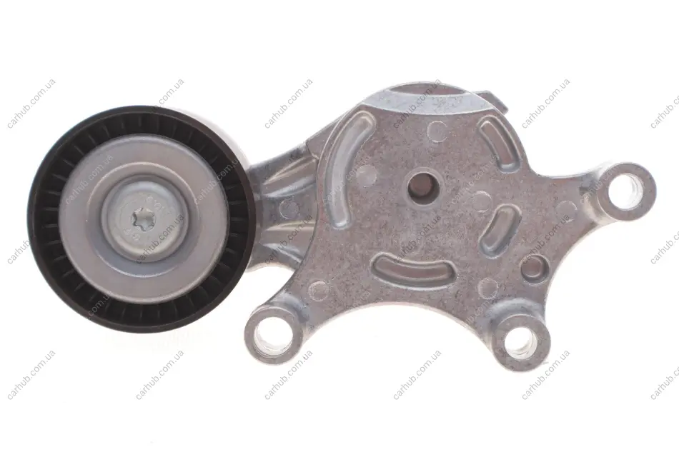 Натяжник ременя генератора Citroen/Peugeot/Ford 1.4HDi/1.6TDCi 01- INA 534 0075 20 (фото 1)