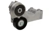 Натяжник ременя генератора Ford Connect 1.8TDCi/Di, 55/66/81kw (70x26) INA 534 0146 10 (фото 1)