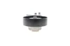 Натяжник ременя генератора Land Rover Discovery/Range Rover 2.7/3.0 04- INA 534 0668 10 (фото 6)