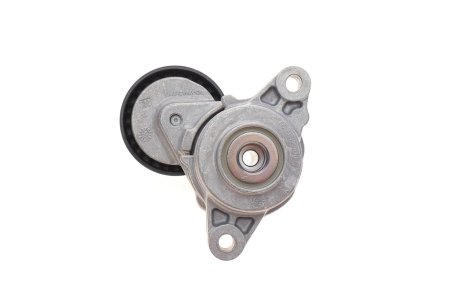 Натяжник ремня генератора INA 534 0795 10