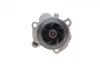 Помпа води VW Caddy II 1.9TDI/SDI (9K9A), 11/95 - 01/04, 47/66kw INA 538 0006 10 (фото 5)