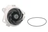 Насос охолоджуючої рідини, з ущільненням ALFA ROMEO 145, 146, 147, 156, 159, 166 FIAT BRAVA, BRAVO I, BRAVO II, CROMA, DOBLO, GRANDE PUNTO, IDEA, MAREA, MULTIPLA, PALIO, PUNTO 1.9D/2.4D 08.94- INA 538 0013 10 (фото 1)
