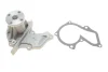 Помпа води Ford Fiesta/Focus 1.0-1.6 96-/Volvo S40/V50 1.6 05-12 INA 538 0288 10 (фото 2)