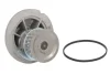 Насос охолоджуючої рідини, з ущільненням CHEVROLET CHEVY OPEL ASTRA F CLASSIC, ASTRA G, ASTRA G CLASSIC, COMBO, COMBO TOUR, CORSA C, MERIVA A, VECTRA B, VECTRA C, VECTRA C GTS 1.4-1.6CNG 10.95- INA 538 0296 10 (фото 2)