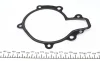 Помпа води Chevrolet Lacetti/Nubira/Captiva 2.0D 07-/Cruze 2.0CDI 09- INA 538 0312 10 (фото 5)