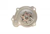 Помпа води Nissan Micra III 1.0 16V/1.2 16V/1.3/1.4 16V 03- INA 538 0508 10 (фото 3)